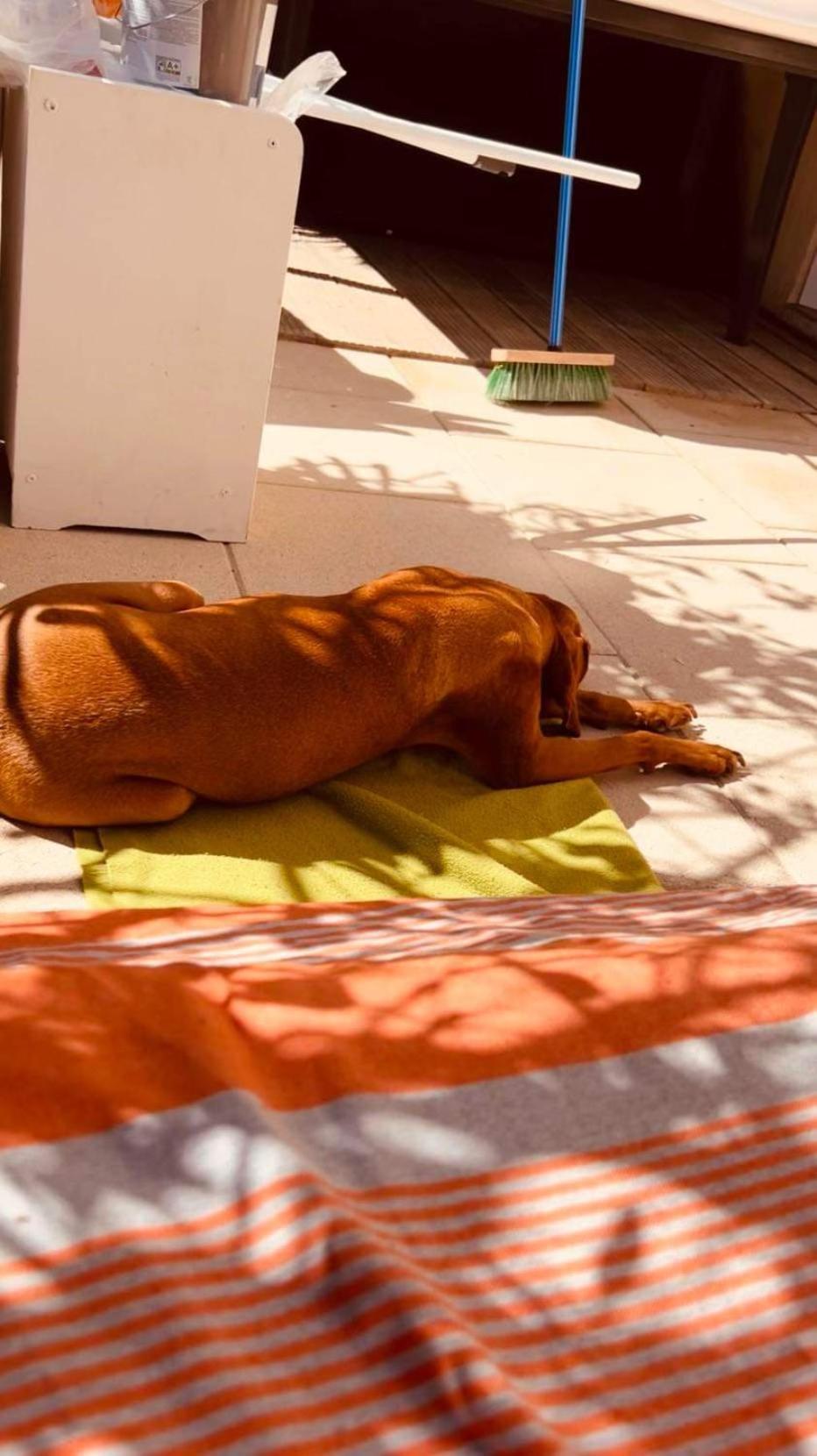 Plage / Beach / Marines De Gassin / Saint-Tropez Ngoại thất bức ảnh